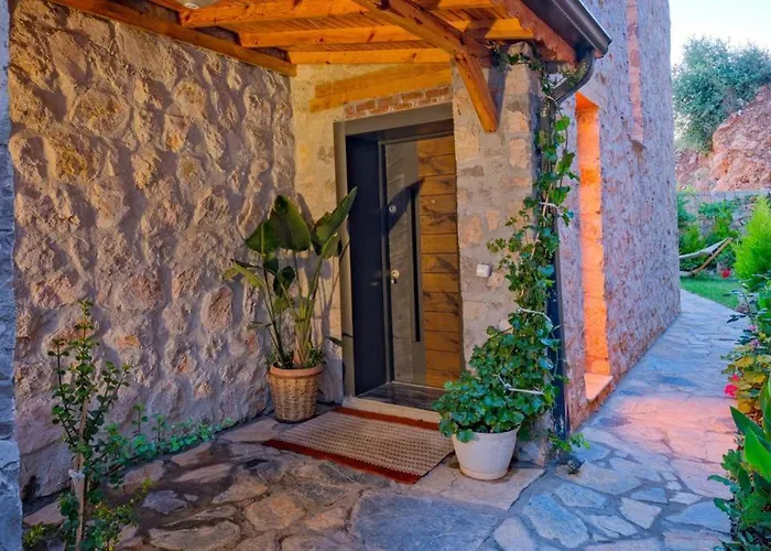 Babadag Esintisi Fethiye Kozagaci